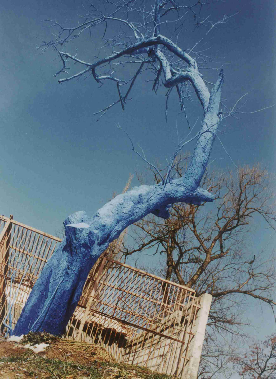 033-blue-tree-sarajevo-1997